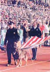 Usamarch.jpg (14394 bytes)