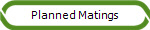 Planned Matings