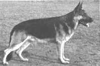 AjaxHD.jpg (9798 bytes)