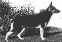 betty_b.jpg (9332 bytes)