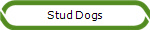 Stud Dogs